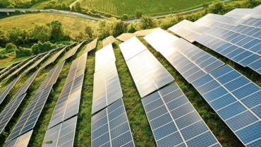 Solar energy production reduces carbon emissions