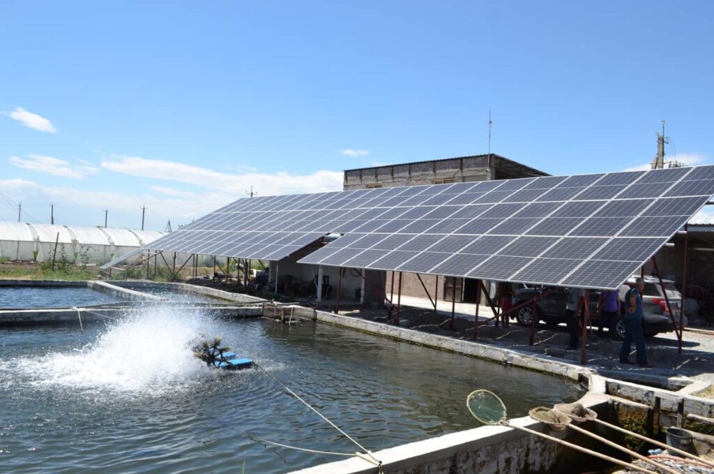 Solar-powered fish pond